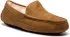 Papuče UGG - M Ascot 1101110 M/Che