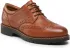 Oxfordky Salamander - Pinnea 32-41715-04 Cognac